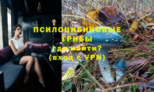гашик Армянск