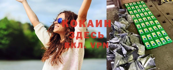 Альфа ПВП Аркадак