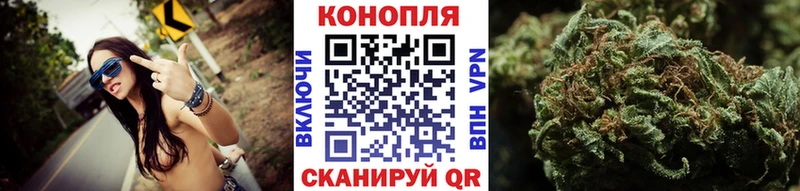 Бошки Шишки гибрид  Сенгилей 