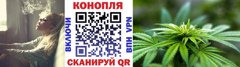 Марихуана ГИДРОПОН Сенгилей